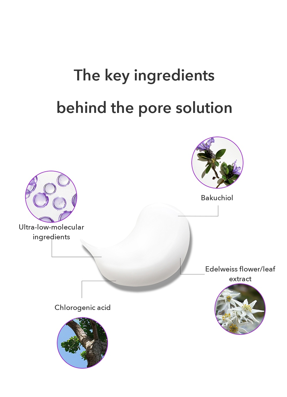 CAREZONE PLUS+ P-Care Pore Spot Treatment detail 02