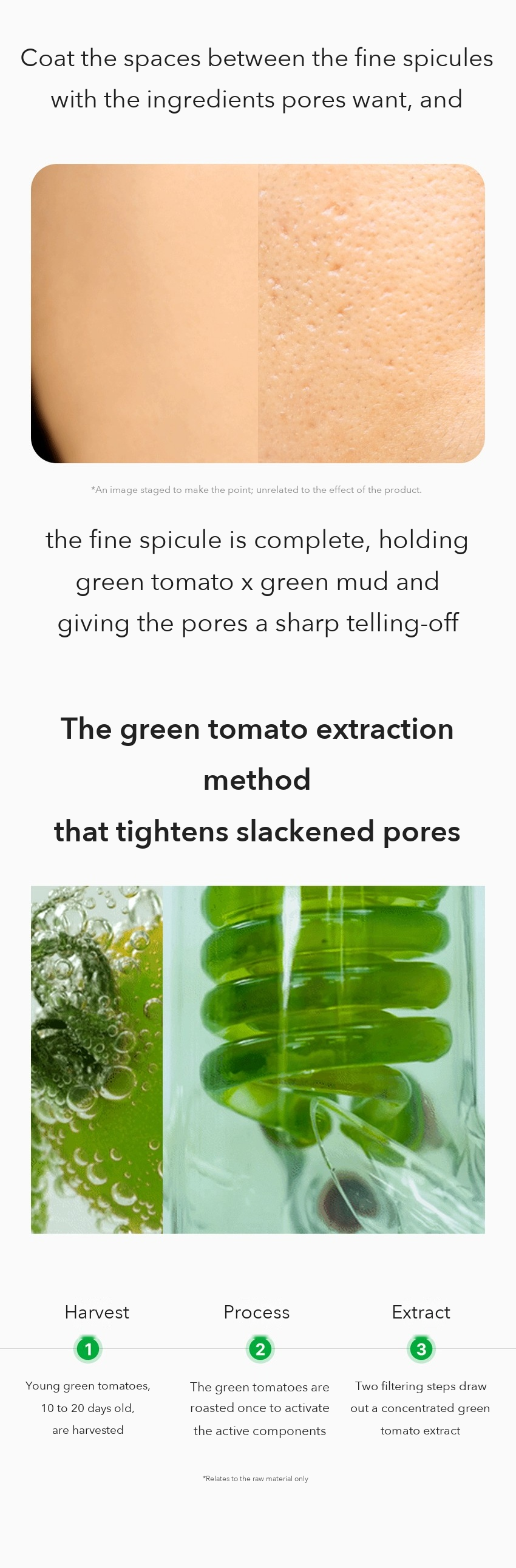 Ingredient Editor Green Tomato Pore Purifying Wash-off Mask detail 04