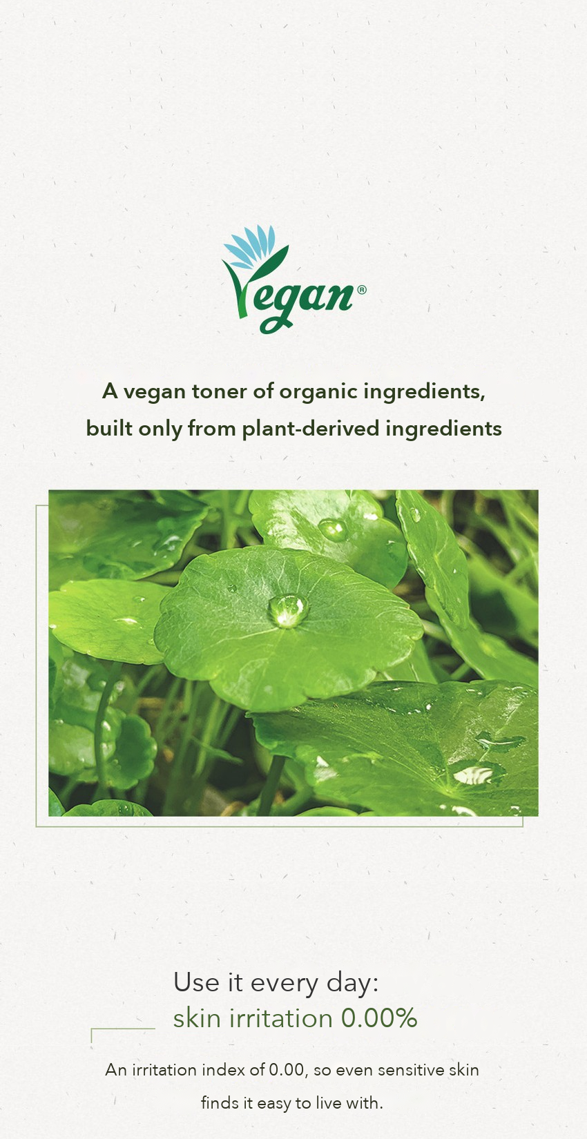 CHAEBI Centella Extract Vegan Toner detail 07