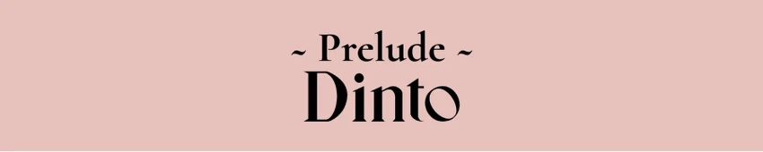 Prelude Dinto Nostalgia Aegyo-sal Palette A76 detail 1