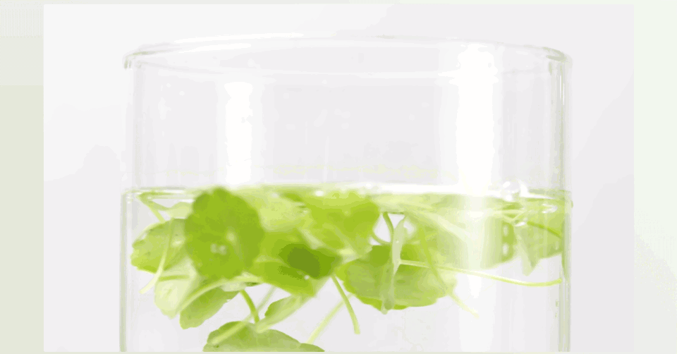 HE:ARIM Calming Cica Hydrogel Mask detail 15
