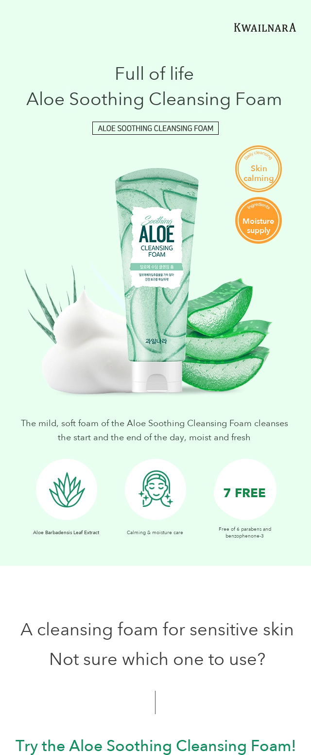 Fruits Nara Aloe Soothing Cleansing Foam detail 01