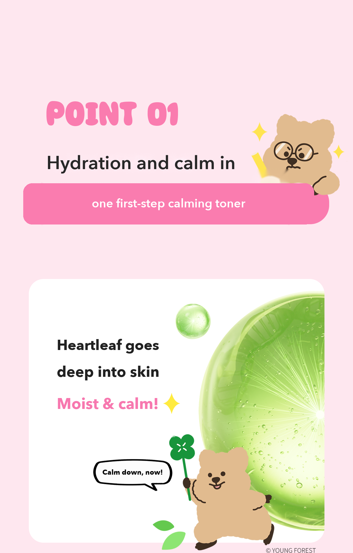 A.SOLUTION Heartleaf Trouble Toner detail 04