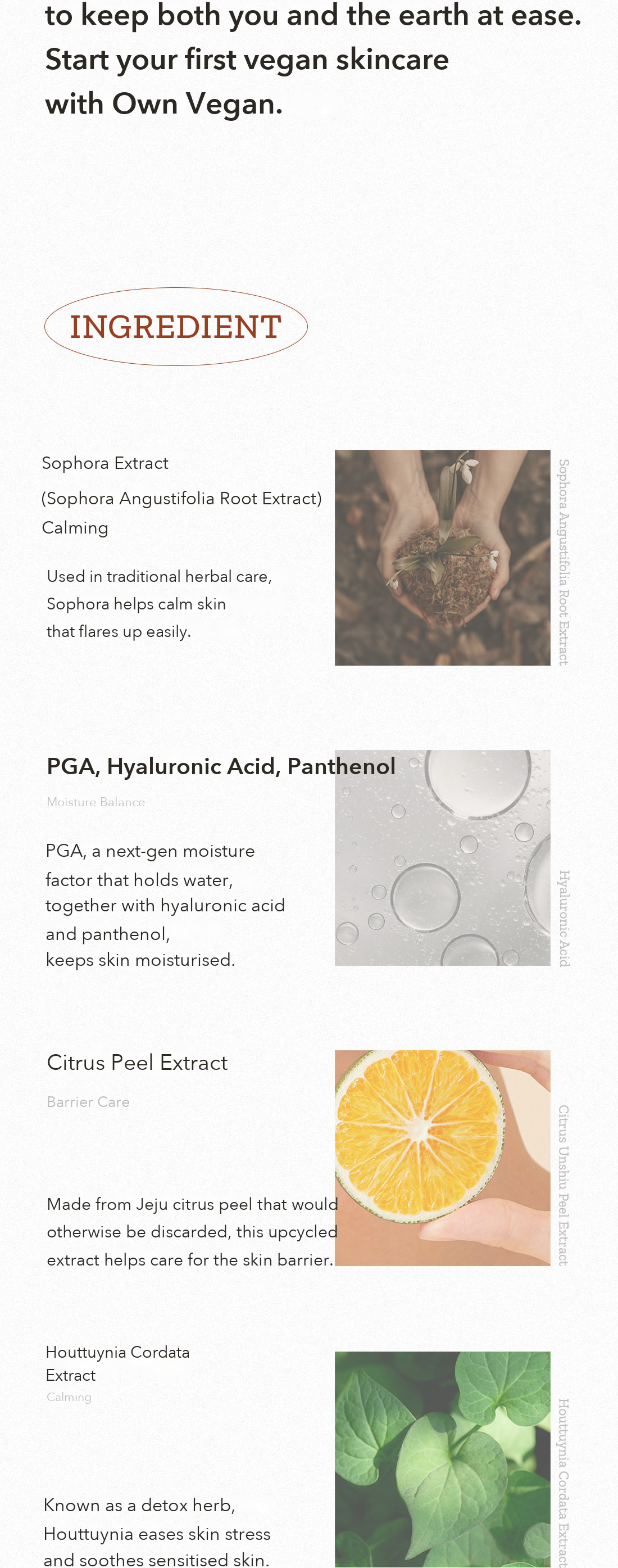 HYGGEE Own Vegan Calming Serum detail 10