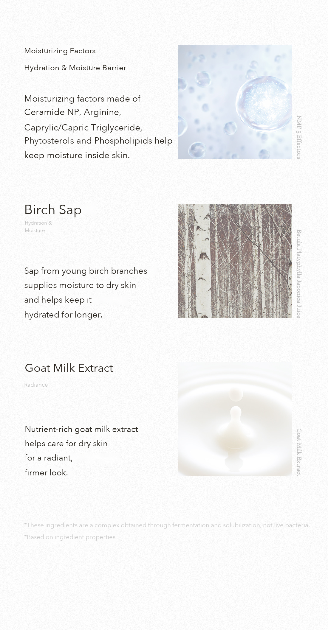 HYGGEE All-In-One Essence detail 12