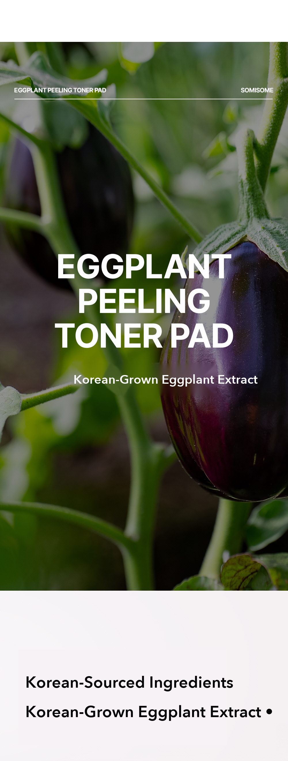 SOMISOME Eggplant Peeling Toner Pad detail 06