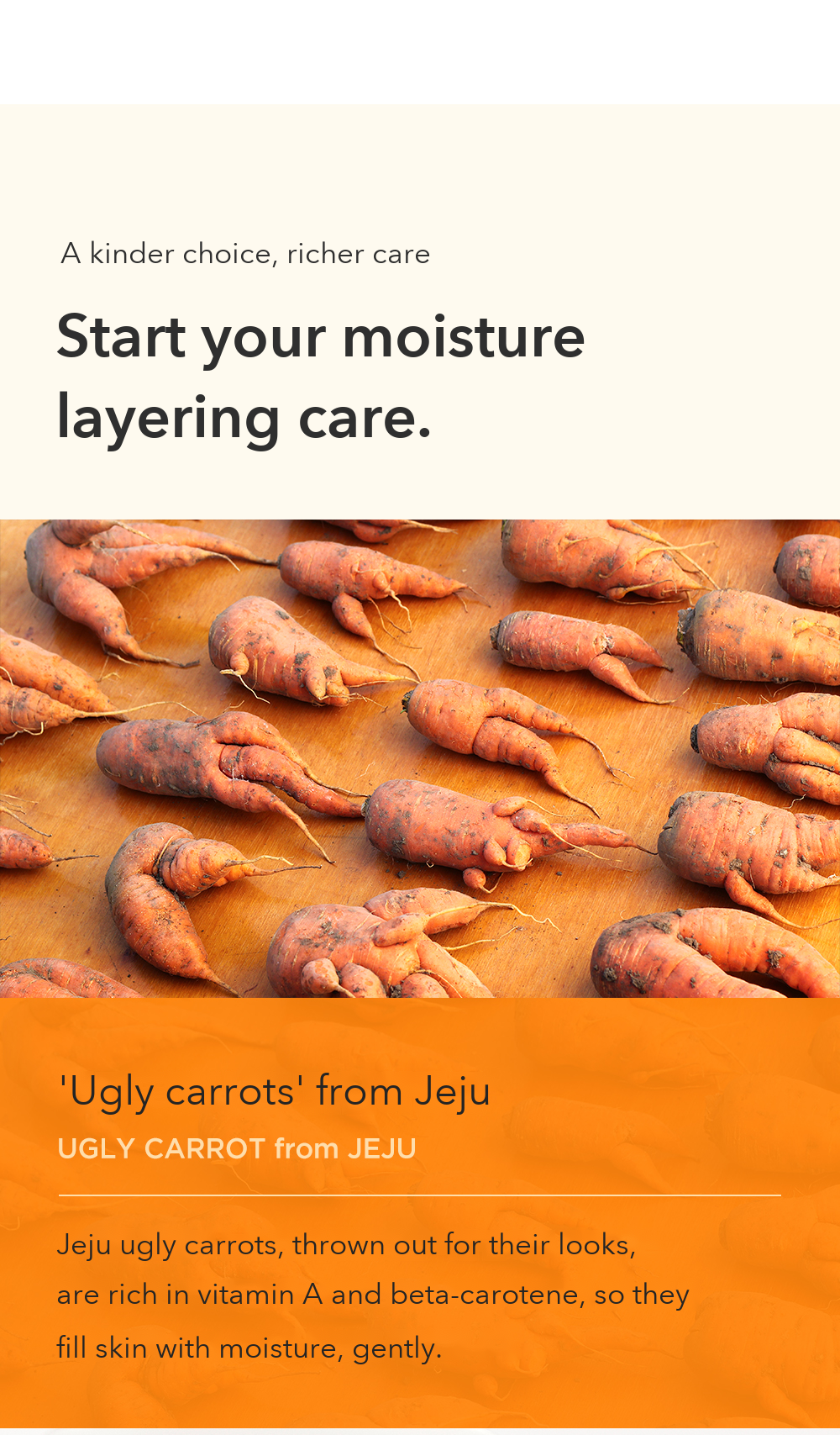 VPROVE Real Carrot Pad detail 05