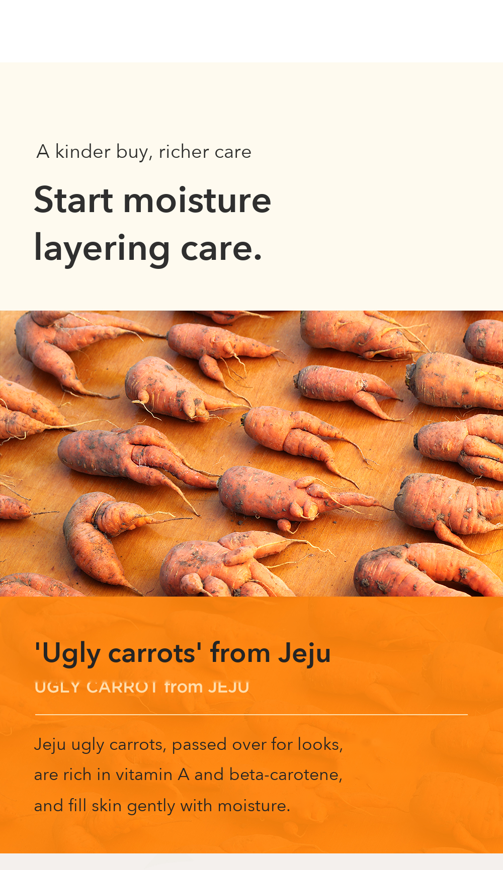 VPROVE Real Carrot Cream detail 04