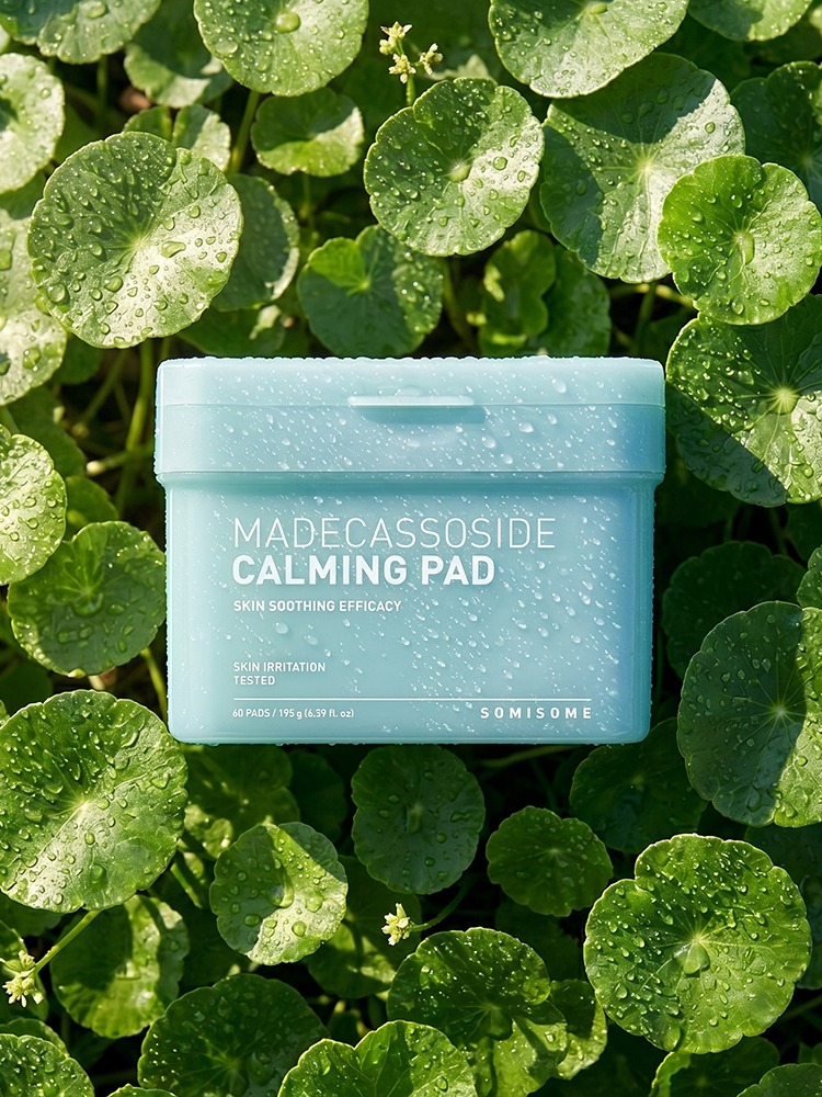 Somisome Madecassoside Calming Square Pad 60 Pads 195g