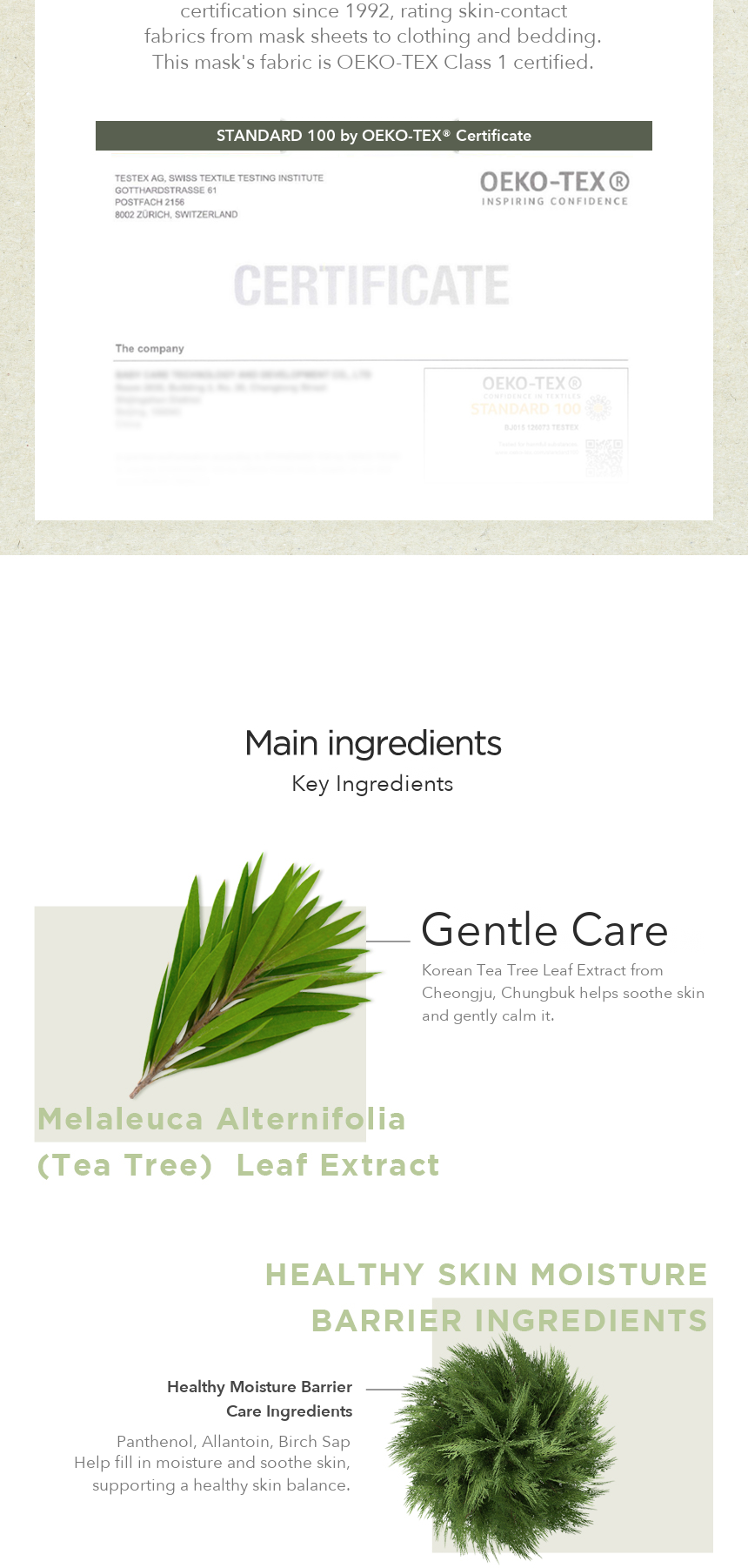 JMsolution Relief Mildly Acidic Tea Tree Mask detail 5