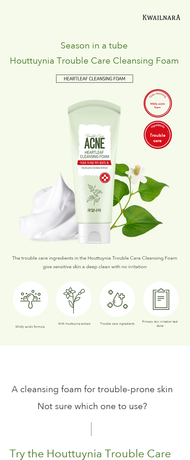 Fruits Nara Houttuynia Trouble Care Cleansing Foam 150g detail 1