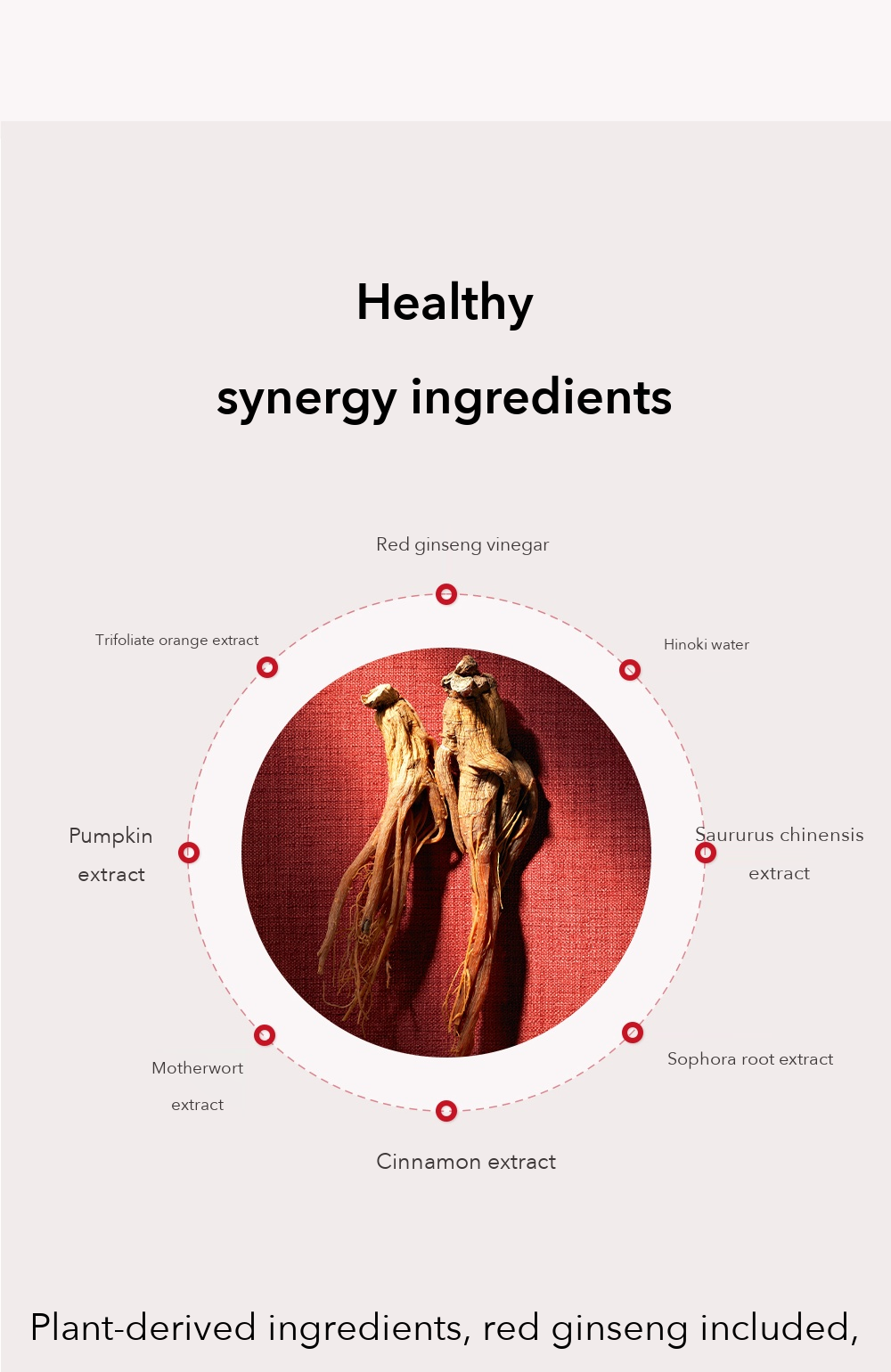 Danahan Bonyongo Red Ginseng Vinegar Essence Special Set detail 7