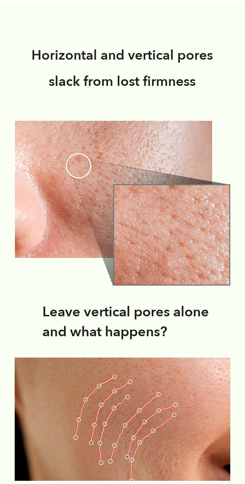 INGREDIENT EDITOR Green Tomato Pore Lifting Serum detail 4