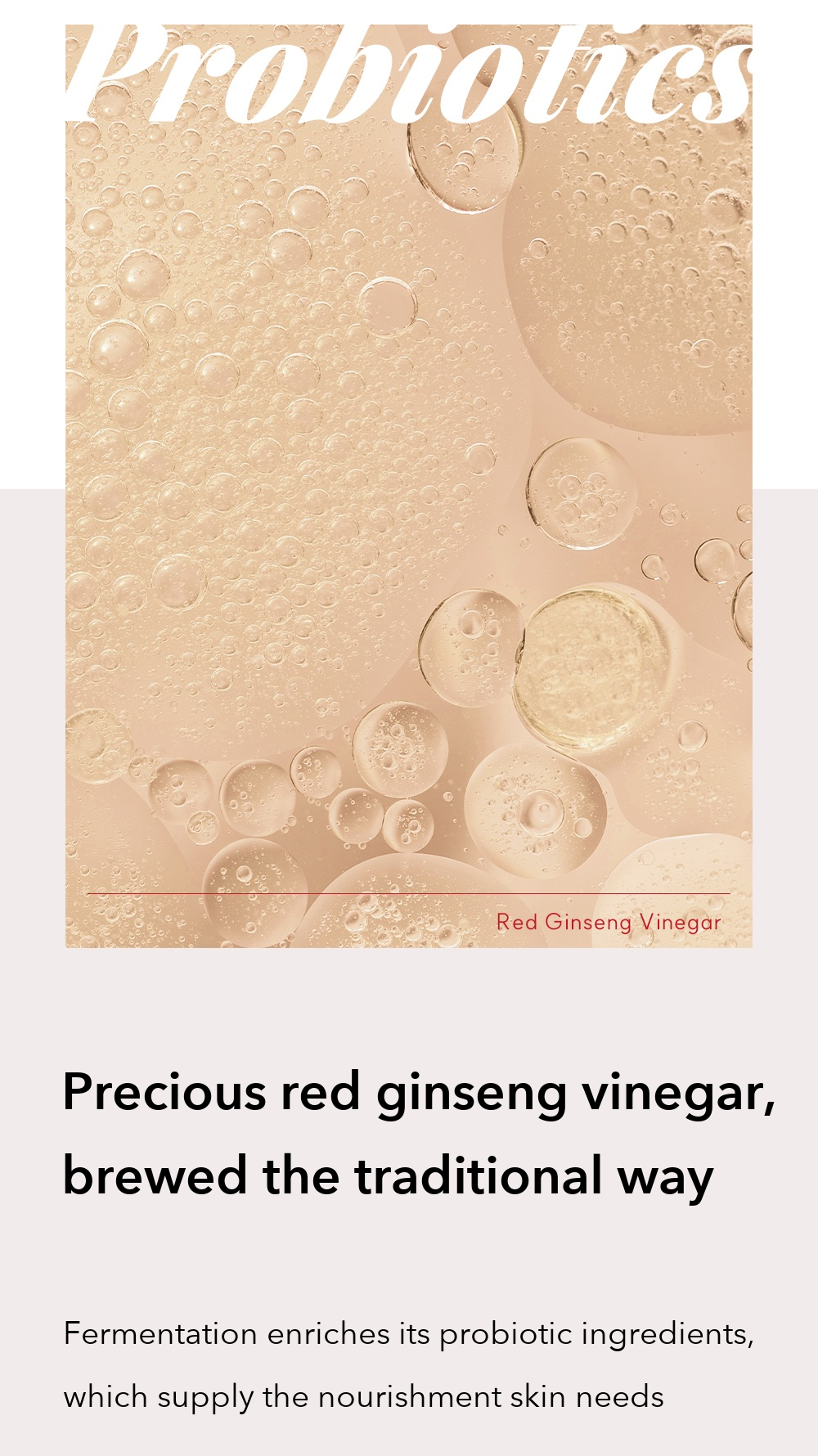 Danahan Bonyongo Red Ginseng Vinegar Cream detail 3