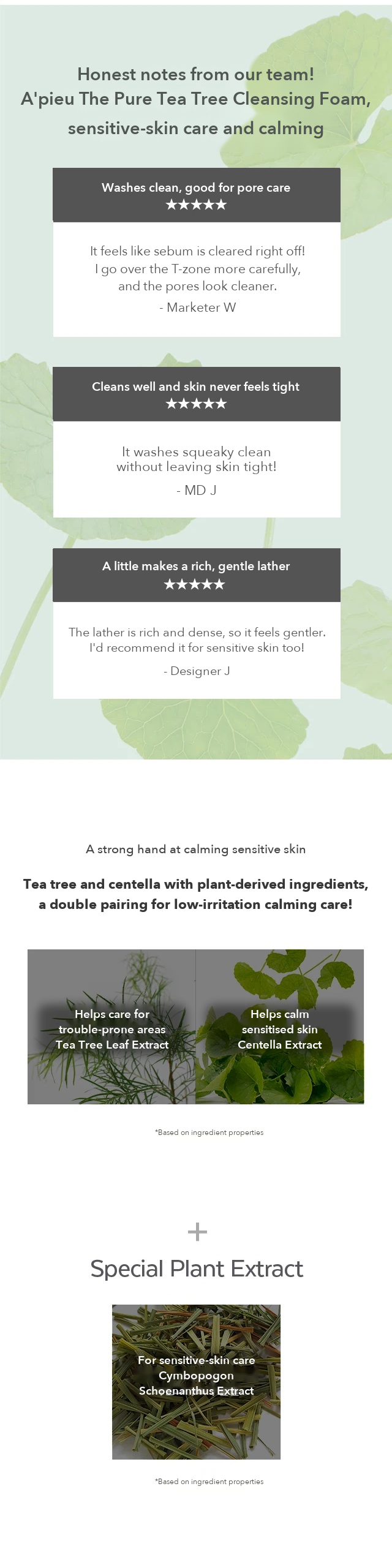 A'PIEU The Pure Tea Tree Cleansing Foam detail 2