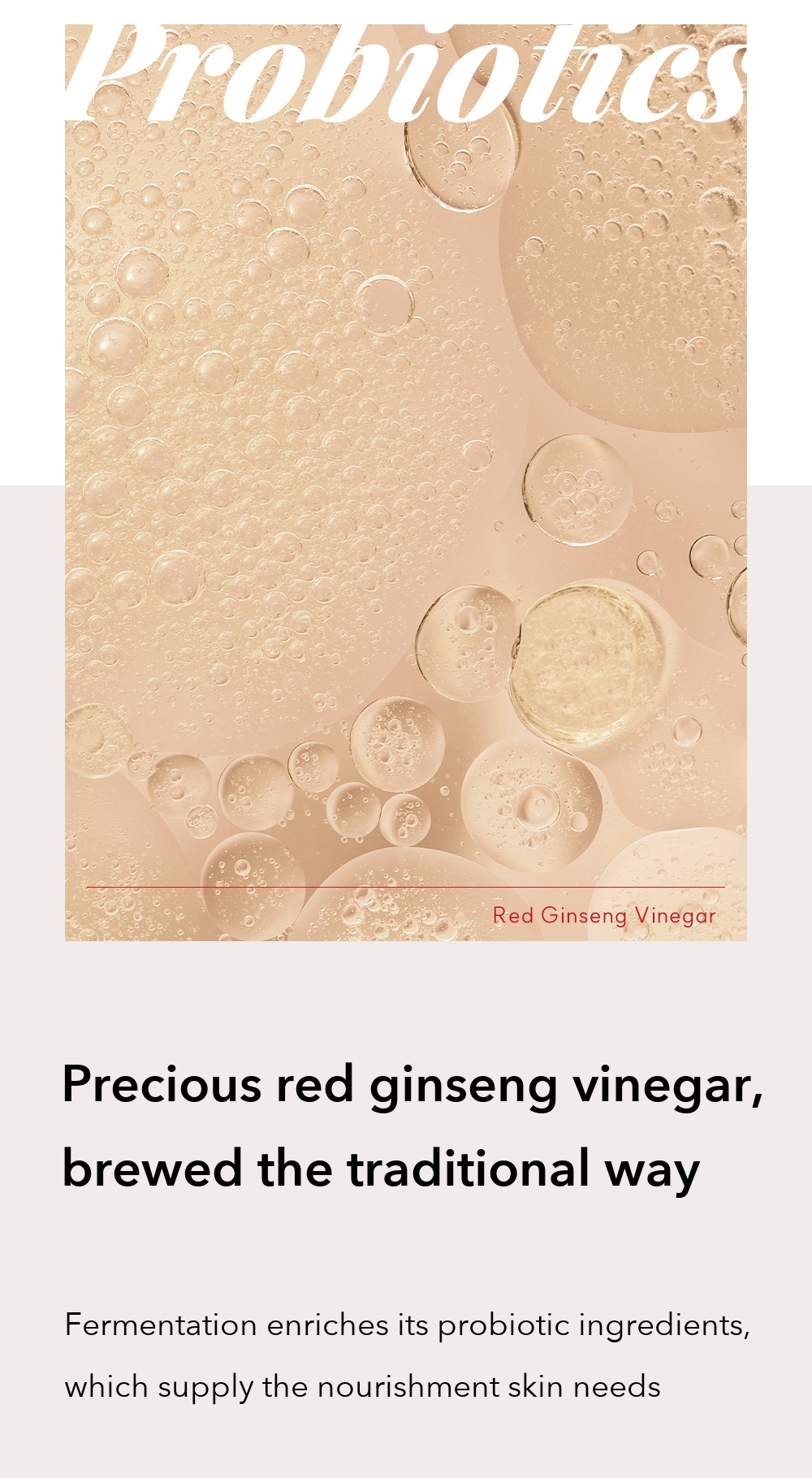 Danahan Bonyongo Red Ginseng Vinegar Eye Cream detail 3