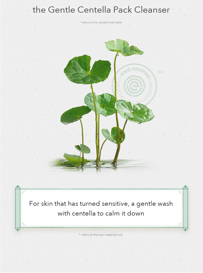 CHAEBI Gentle Centella Pack Cleanser detail 02