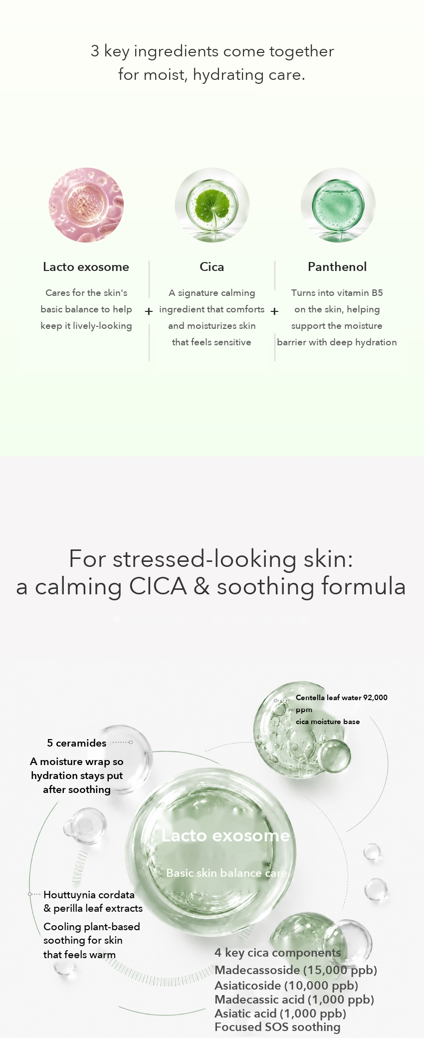 Dr.CPU+ Lacto Exosome Cica Powder Ampoule detail 04