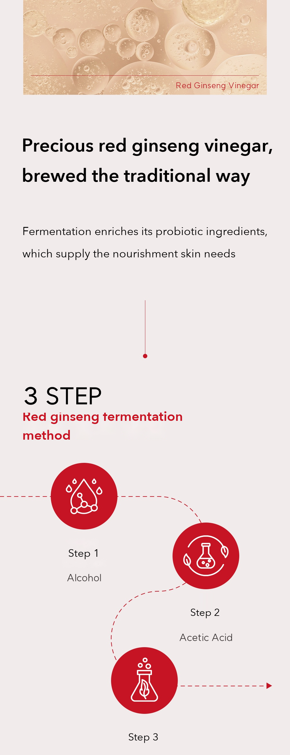 Danahan Bonyongo Red Ginseng Vinegar Mask detail 4
