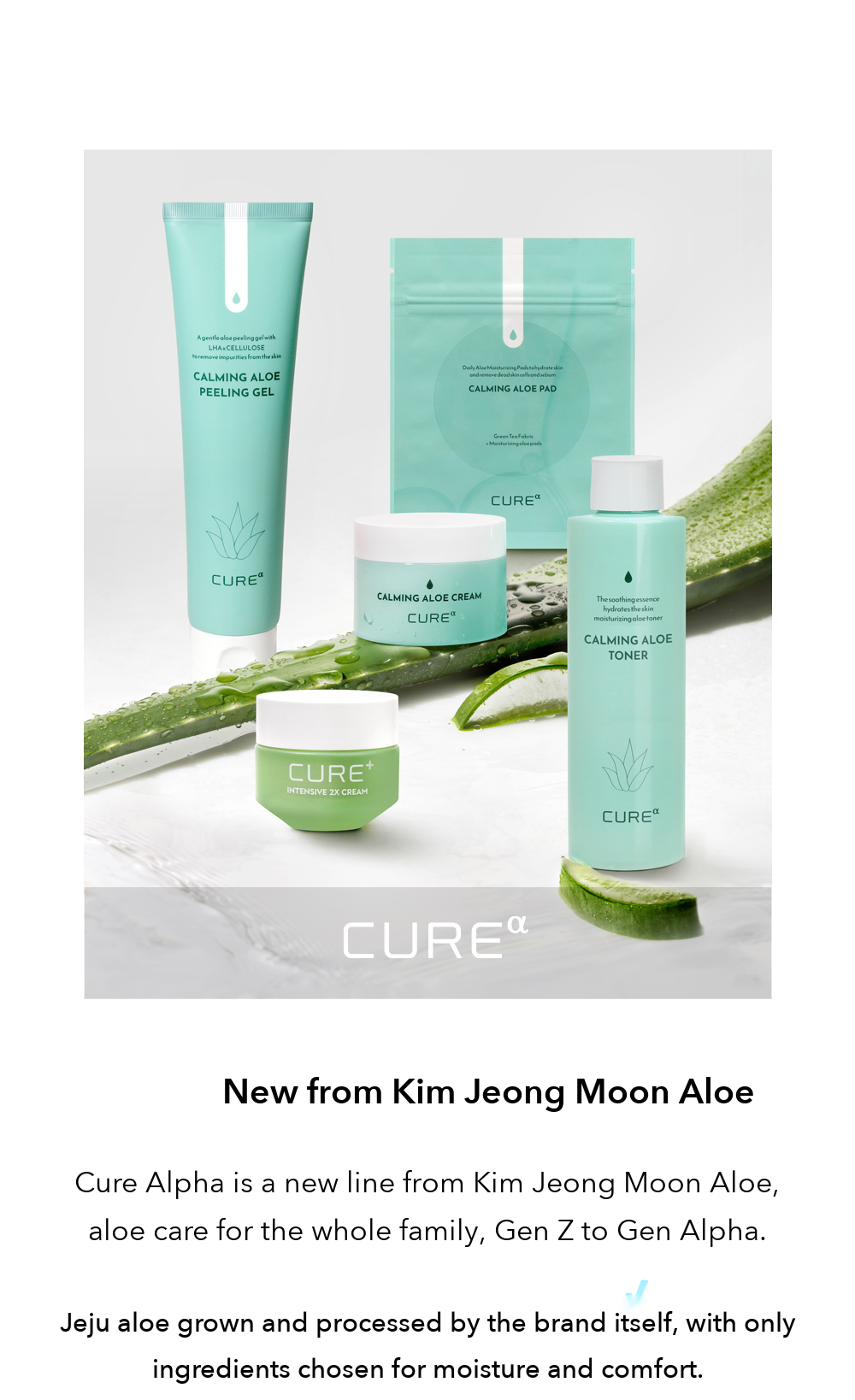 Kim Jeong Moon Aloe Cure Alpha Calming Aloe Peeling Gel detail 02
