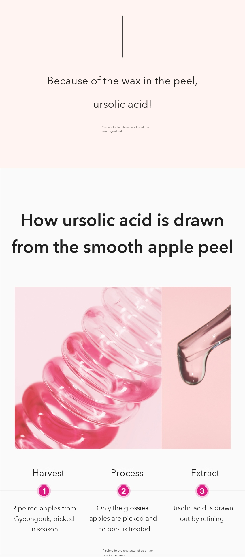 INGREDIENT EDITOR Apple Peel Glow Skin Soothing Serum Plain detail 4