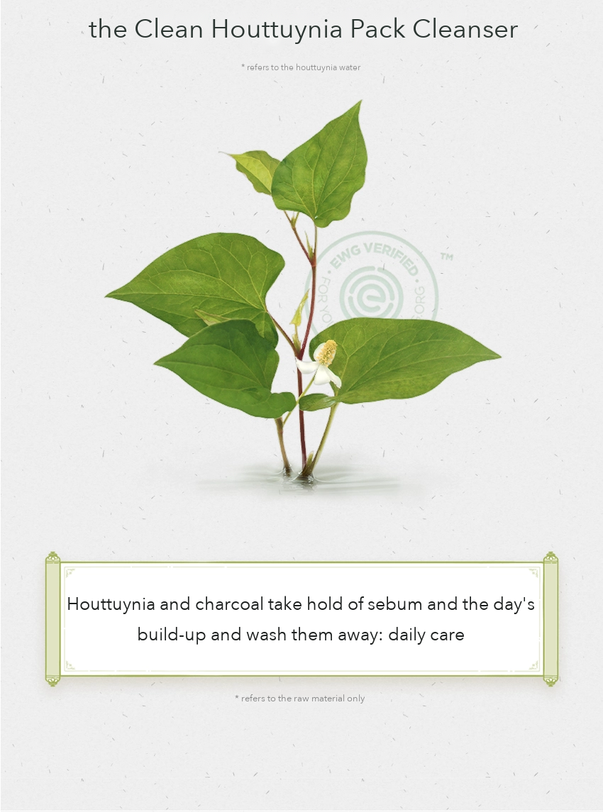 CHAEBI Clean Houttuynia Pack Cleanser detail 02