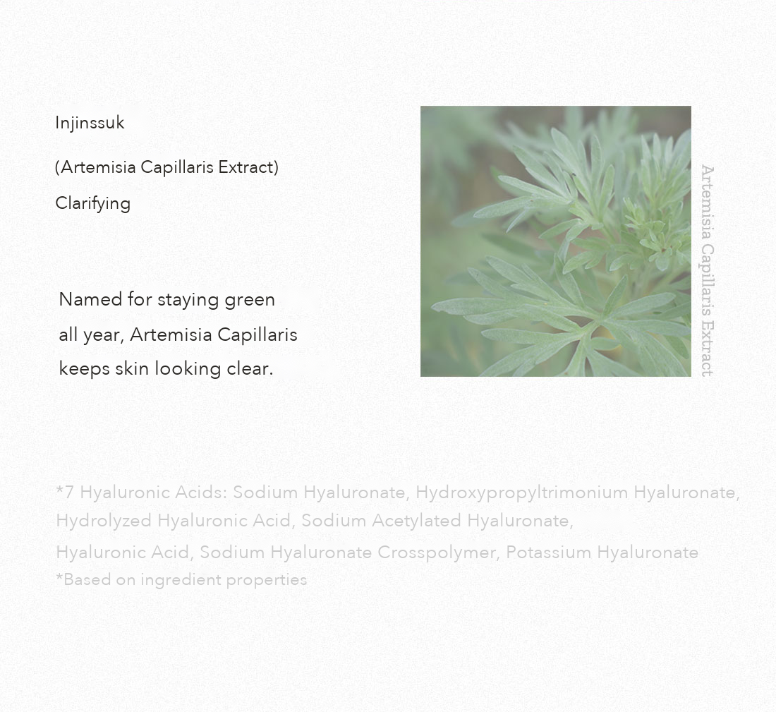 HYGGEE Own Vegan Calming Toner detail 10