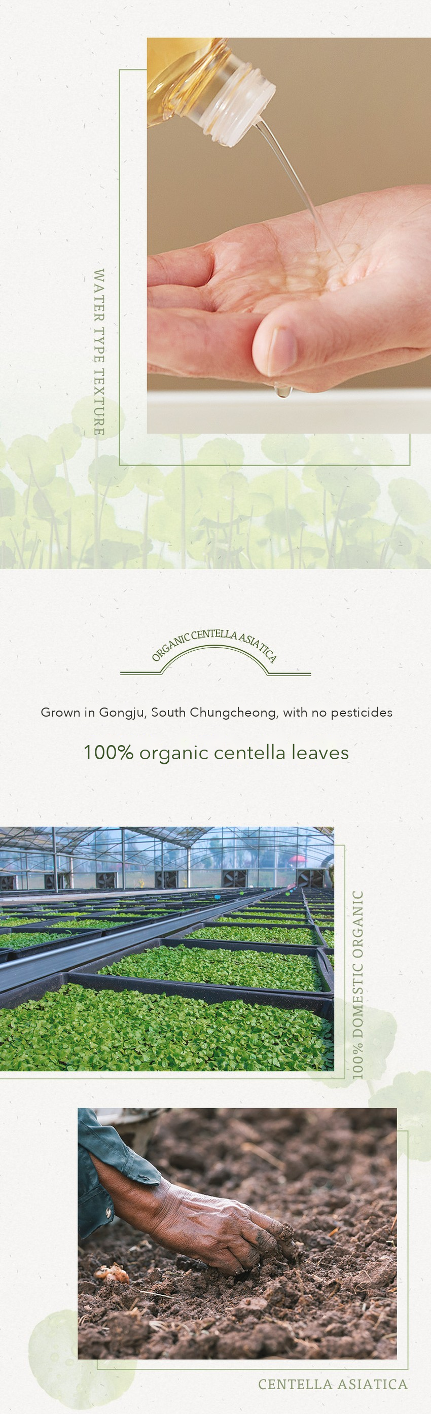 CHAEBI Centella Extract Vegan Toner detail 06