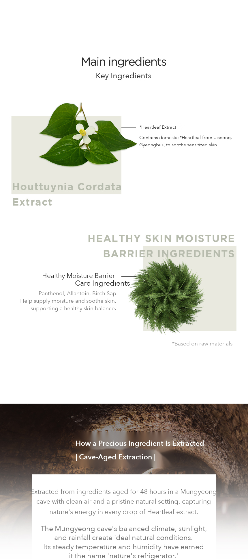 JMsolution Relief Fit Heartleaf Mask detail 6