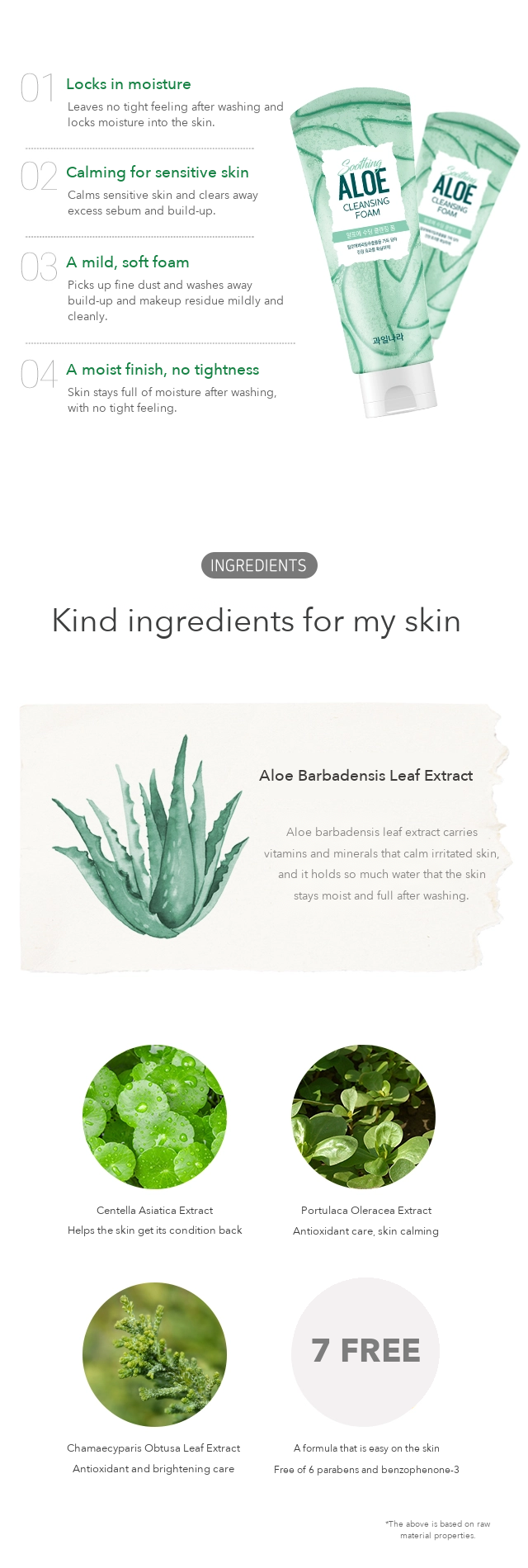 Fruits Nara Aloe Soothing Cleansing Foam detail 02