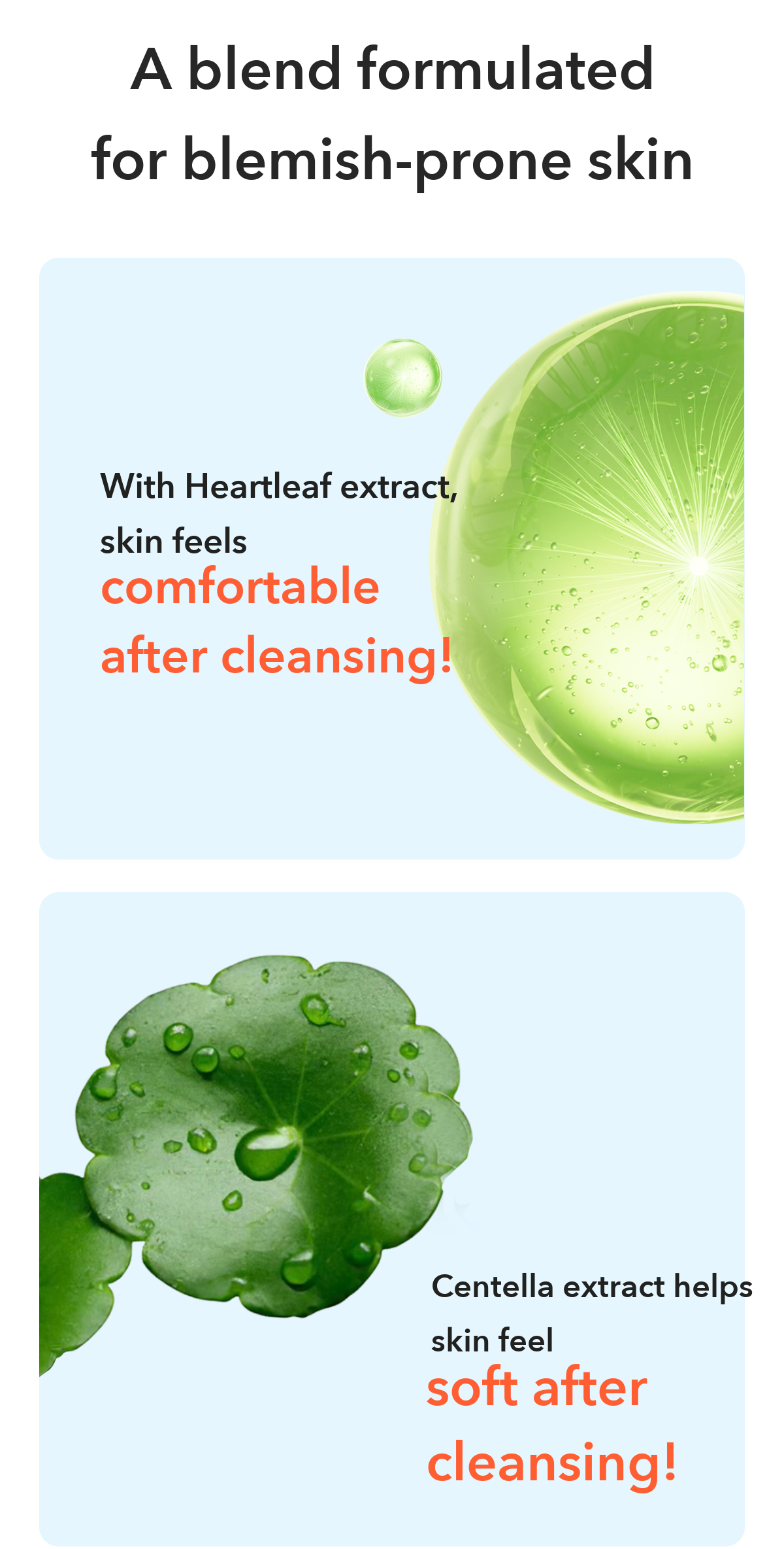 A.SOLUTION Heartleaf Blemish Cleansing Foam detail 04