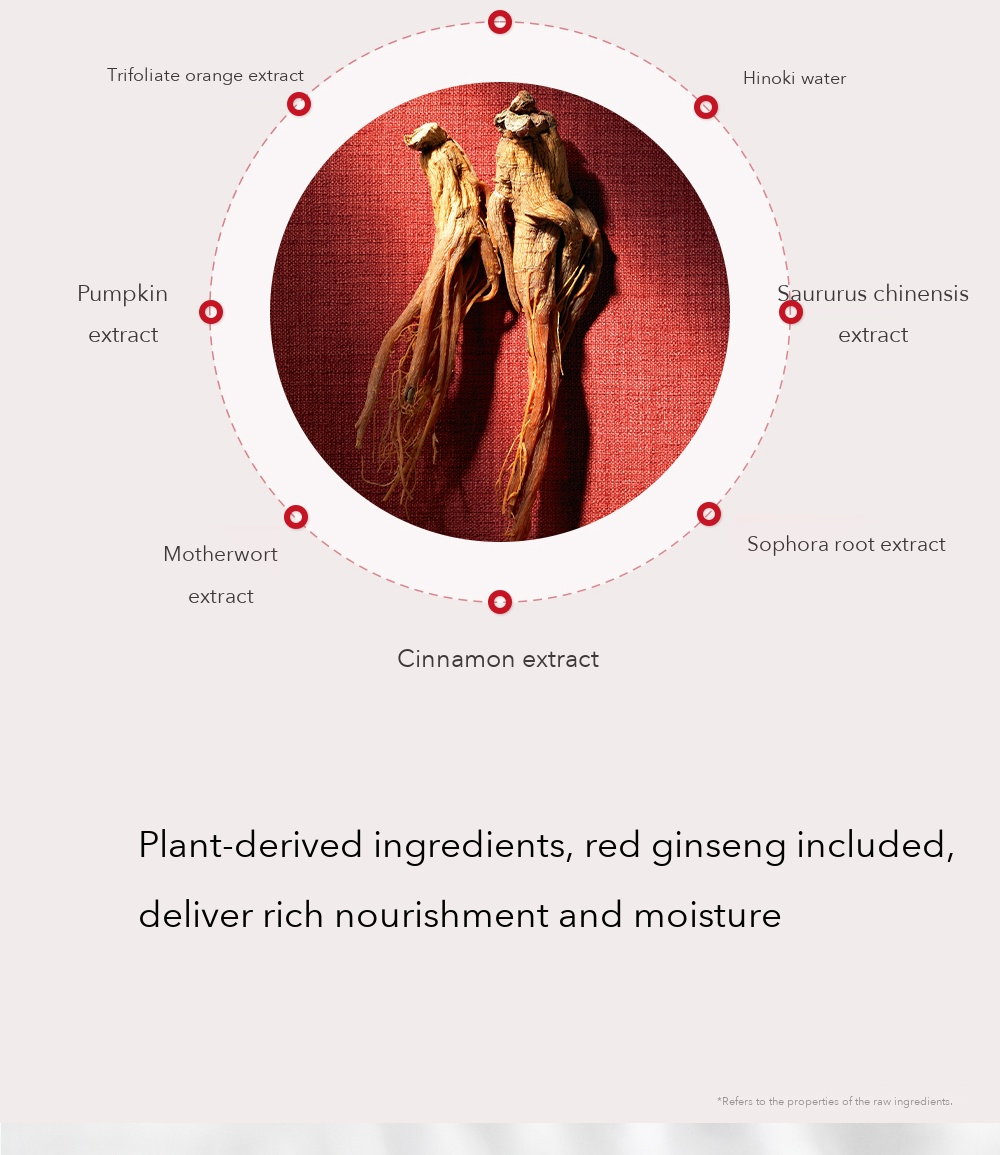 Danahan Bonyongo Red Ginseng Vinegar Cream detail 6