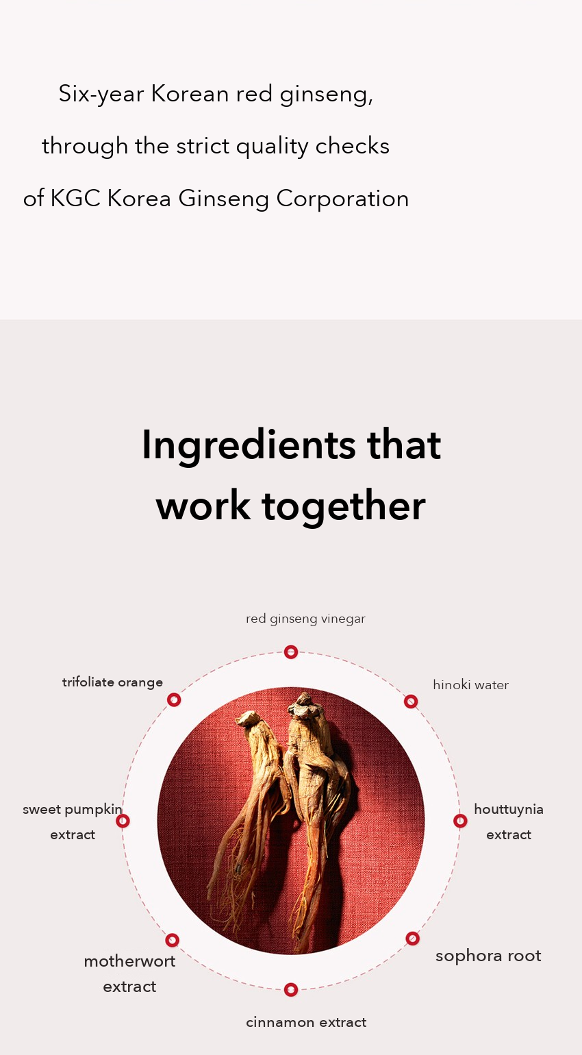 Danahan Bonyongo Red Ginseng Vinegar Skin Toner detail 6