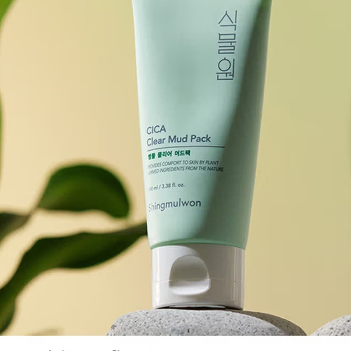 Shingmulwon Cica Clear Mud Pack 100ml