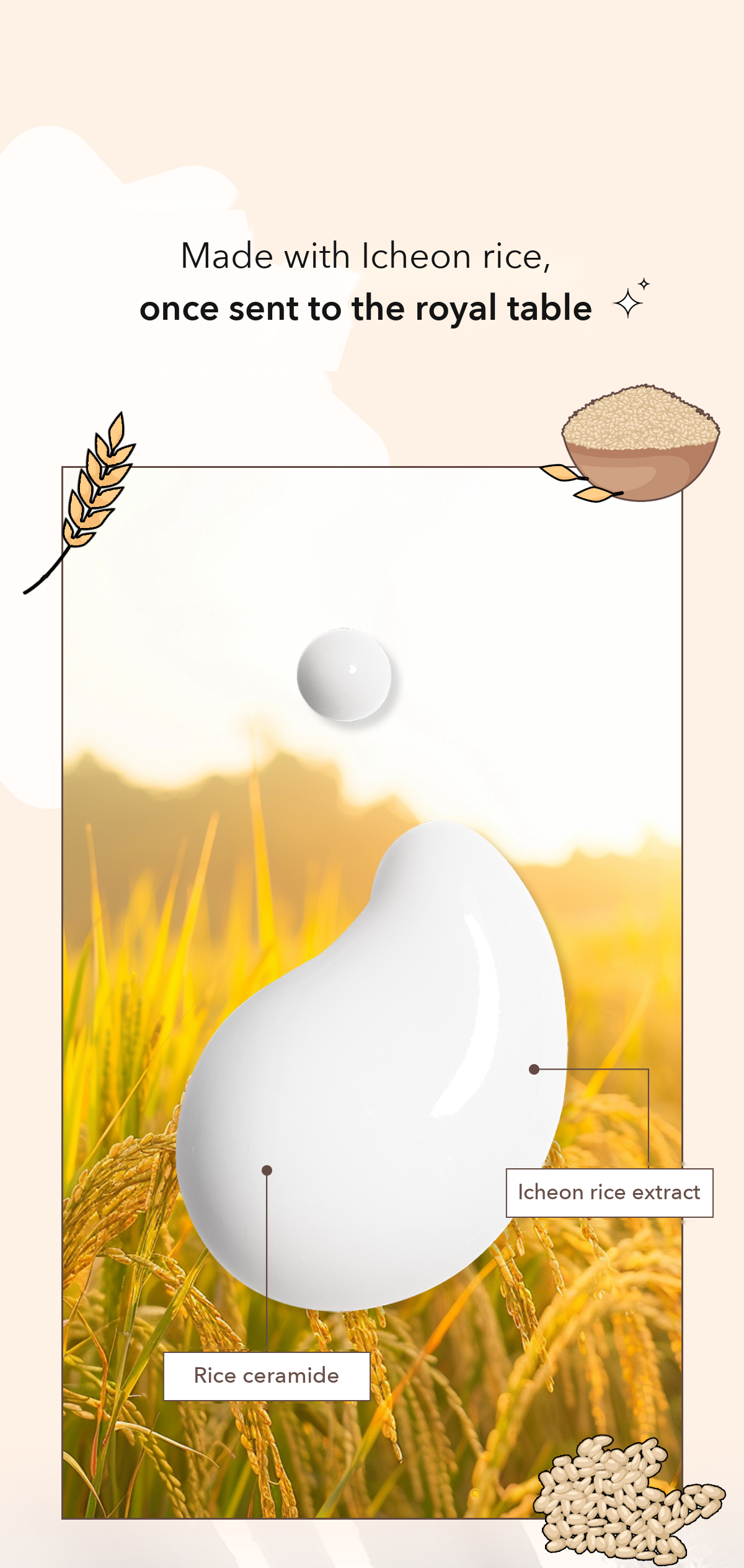 POINT Rice Soothing Cleansing Milk detail 07