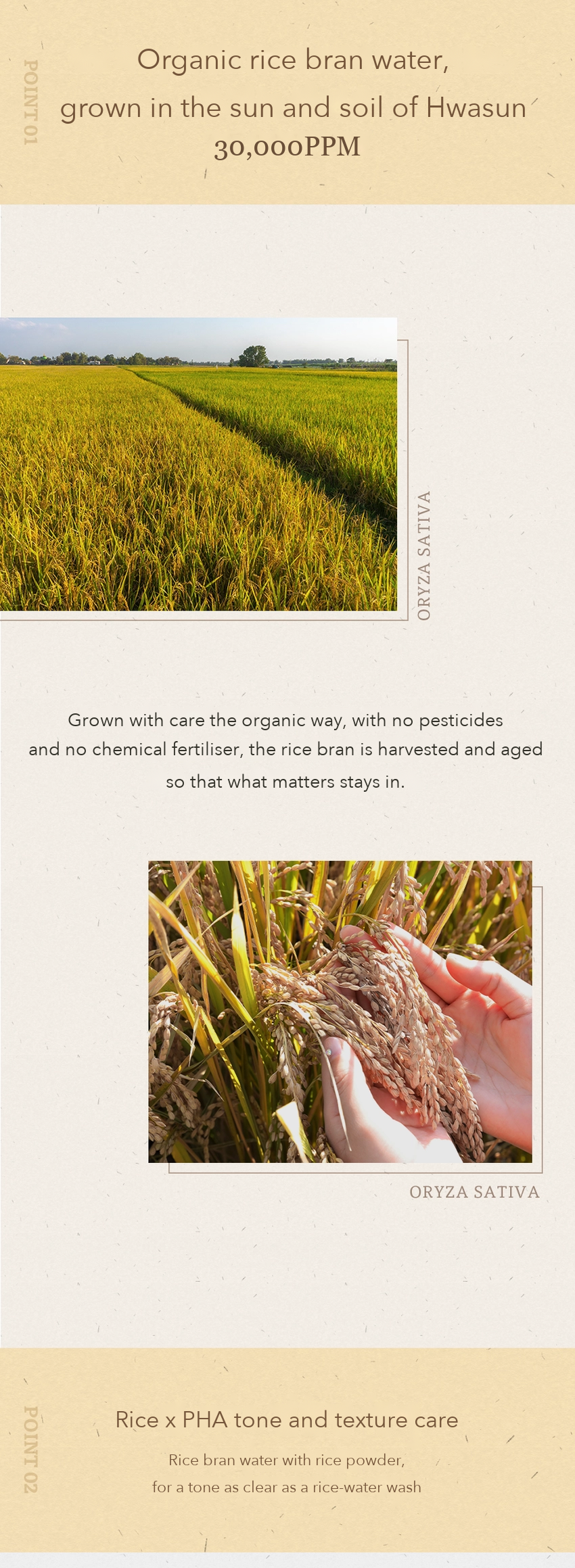 CHAEBI Fine Rice Bran Pack Cleanser detail 03