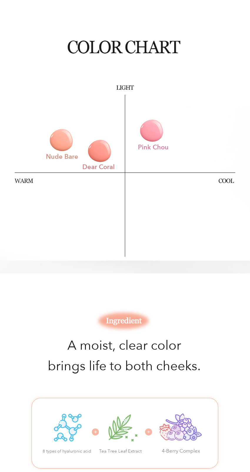 IPKN Tone Cushion Blusher detail 05