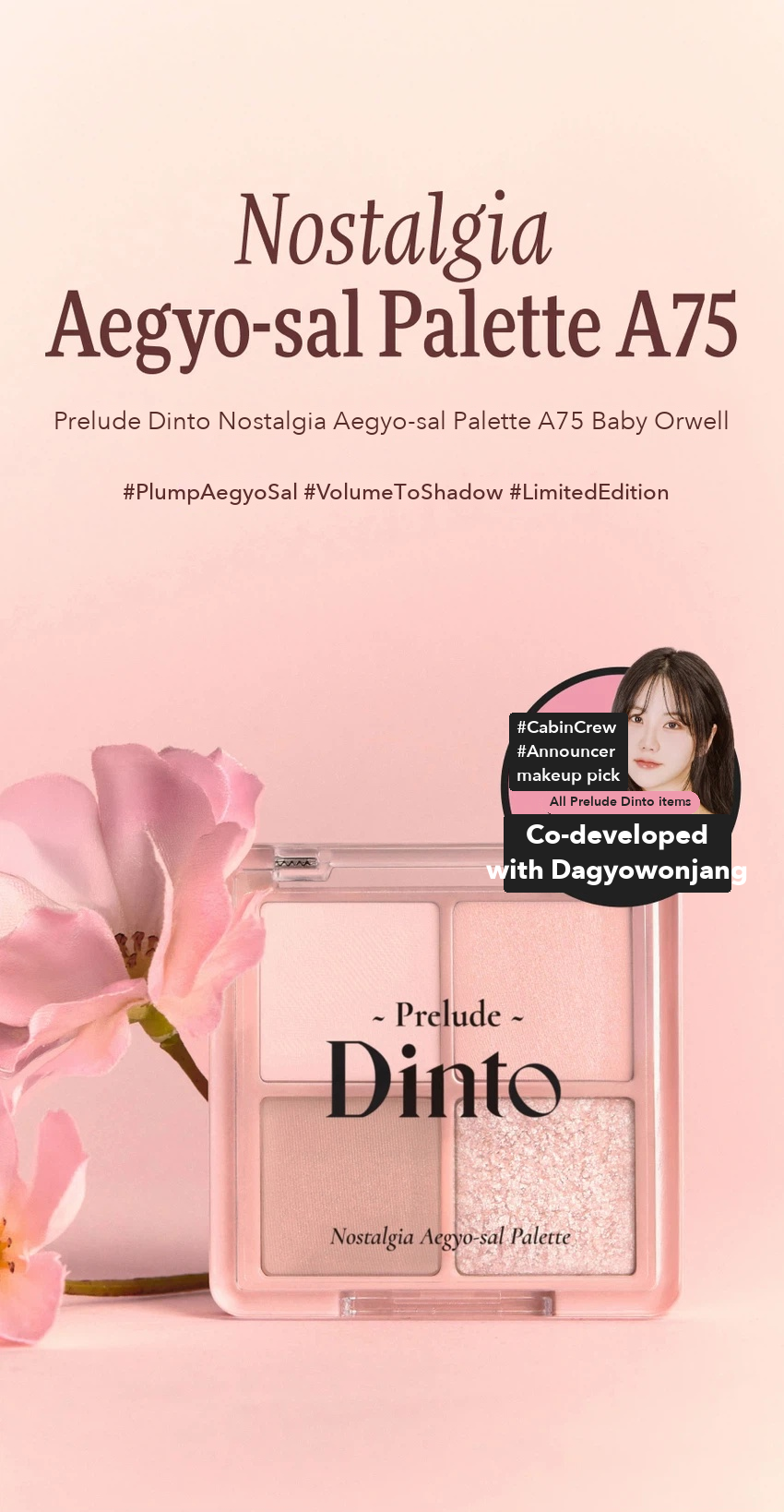 Prelude Dinto Nostalgia Aegyo-sal Palette A75 Baby Orwell detail 03
