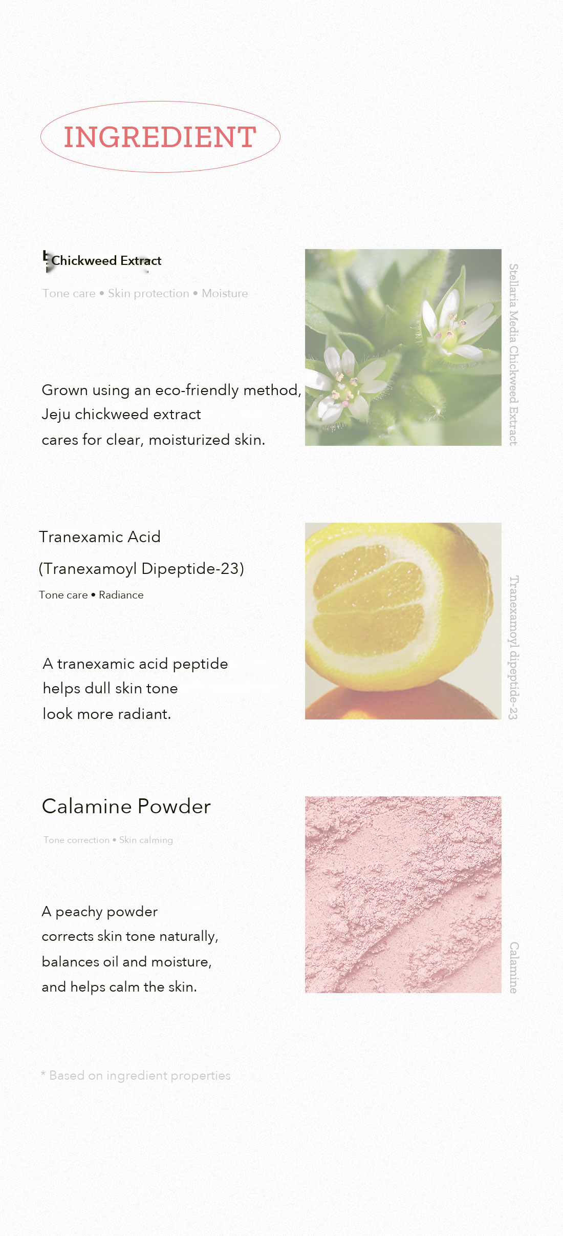 HYGGEE Fresh Vegan Tone-Up Sun Cream detail 20