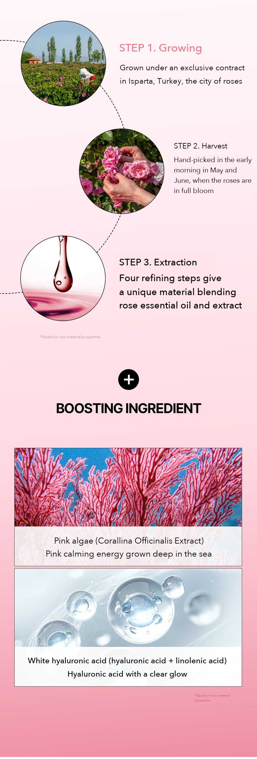 Madeca21 TECA Toning Spot Essence 15ml detail 13