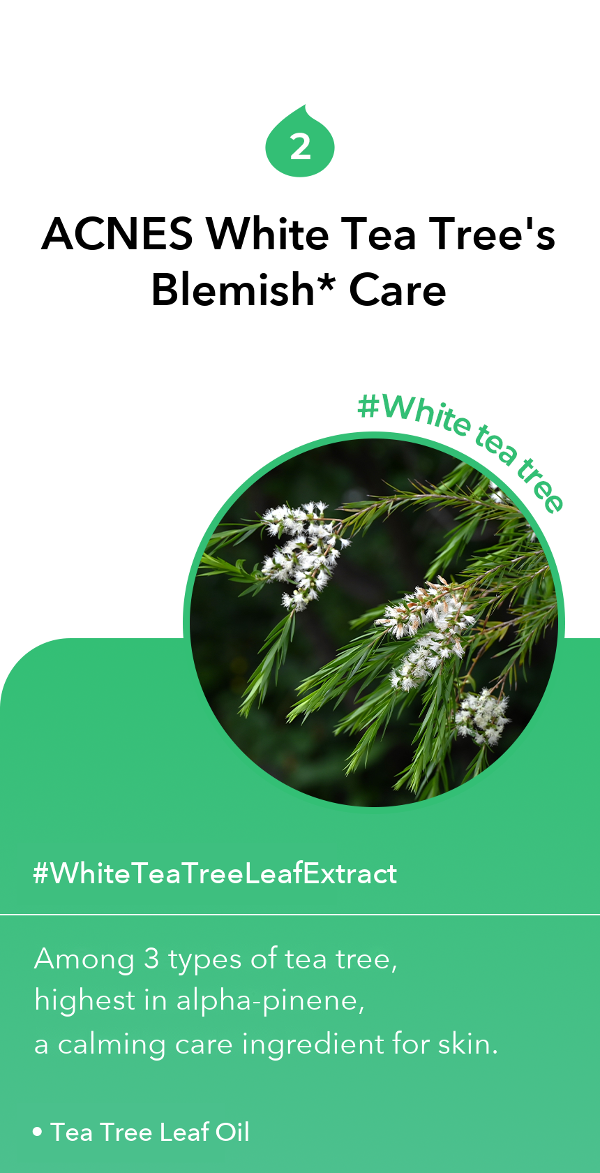 ACNES White Tea Tree Calming Toner detail 7