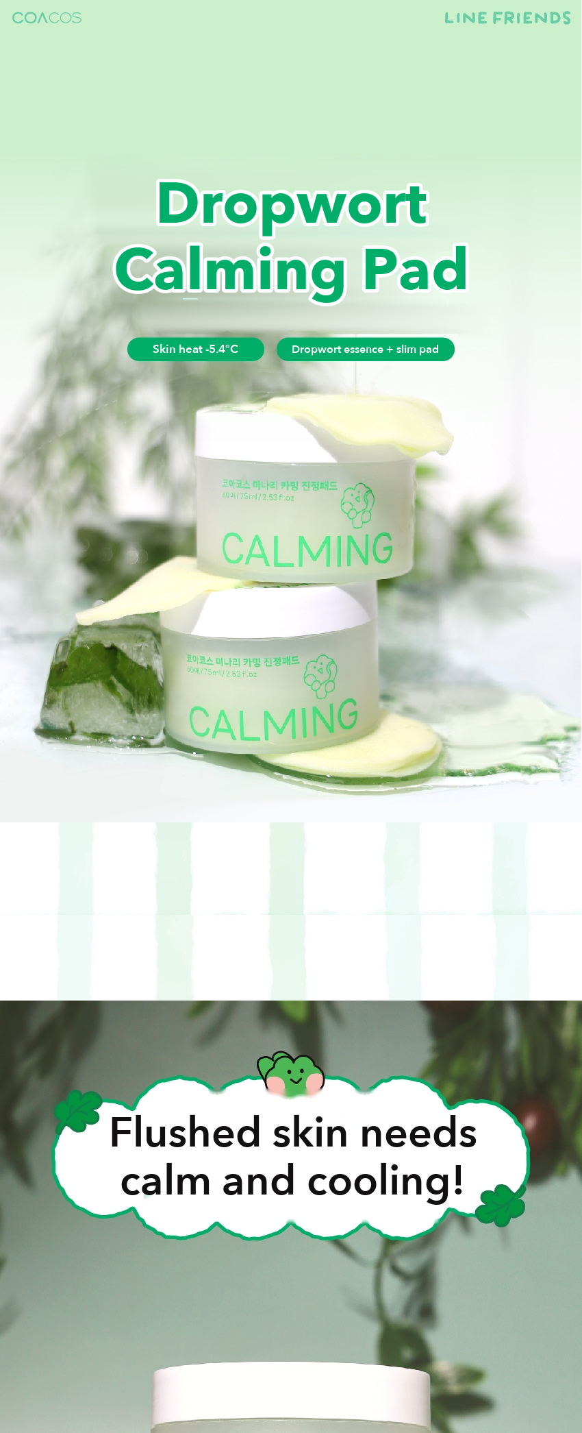 COACOS Dropwort Calming Pad detail 01